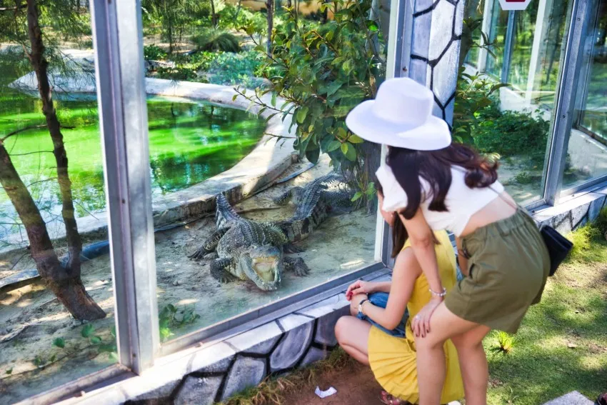 FLC Zoo Safari Park Admission Ticket | Quy Nhon